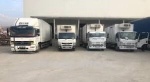 Kartal Ambar