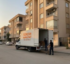 Haliliye Ambar Firmaları