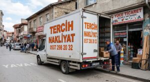 Tosya Ambar Firmaları