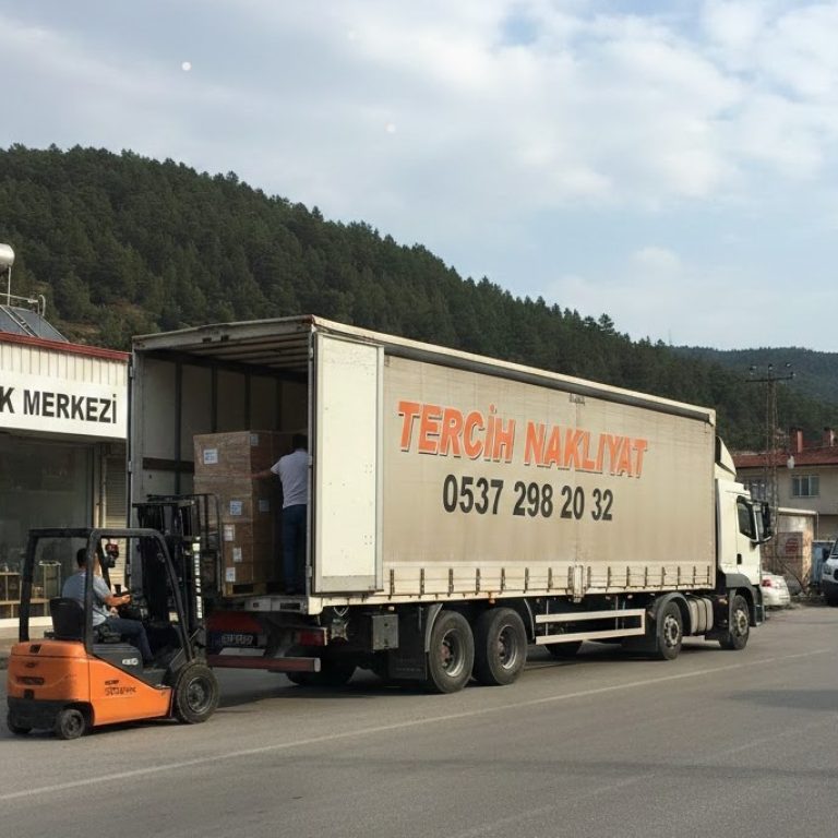 Seydikemer Ambar Nakliyat
